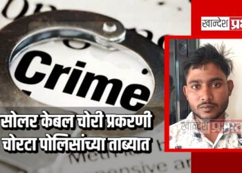सोलर केबल चोरी प्रकरणी चोरटा पोलिसांच्या ताब्यात ; एलसीबीची कारवाई