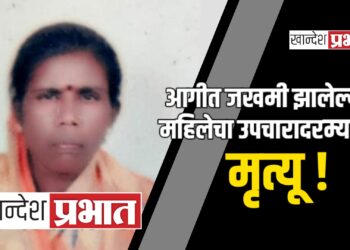 आगीत जखमी झालेल्या महिलेचा उपचारादरम्यान मृत्यू !