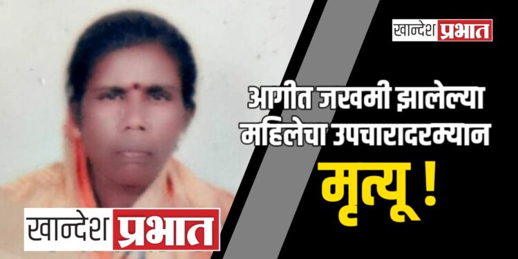 आगीत जखमी झालेल्या महिलेचा उपचारादरम्यान मृत्यू !