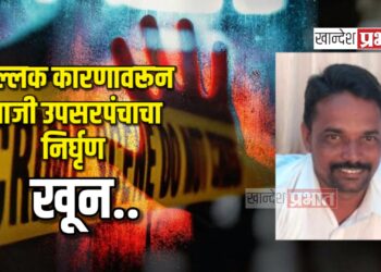 शुल्लक कारणावरून माजी उपसरपंचाचा निर्घृण खून