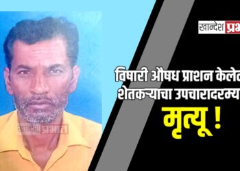 विषारी औषध प्राशन केलेल्या शेतकऱ्याचा उपचारादरम्यान मृत्यू !
