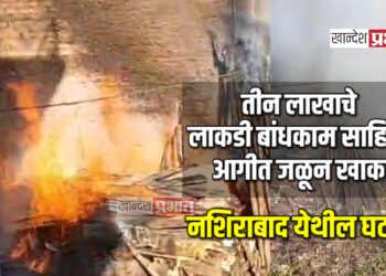 नशिराबाद येथे आग ; आगीत तीन लाखाचे लाकडी बांधकाम साहित्य जळून खाक