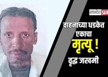 वाहनाच्या धडकेत एकाचा मृत्यू, वृद्ध जखमी ; जामनेर तालुक्यातील घटना