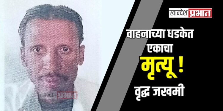 वाहनाच्या धडकेत एकाचा मृत्यू, वृद्ध जखमी ; जामनेर तालुक्यातील घटना