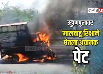 उड्डाणपुलावर मालवाहू रिक्षाने घेतला अचानक पेट, वाहन जळून खाक !