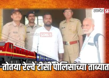 तोतया रेल्वे टीसी पोलिसांच्या ताब्यात : लोकमान्य टिळक टर्मिनस रेल्वेतील घटना