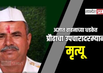 अज्ञात वाहनाच्या धडकेत प्रौढाचा उपचारादरम्यान मृत्यू