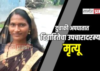 दुचाकी अपघातात विवाहितेचा उपचारादरम्यान मृत्यू