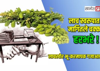 लाच स्वरुपात मागितले चक्क हरभरे ! ; लाचखोर भू-करमापक गजाआड