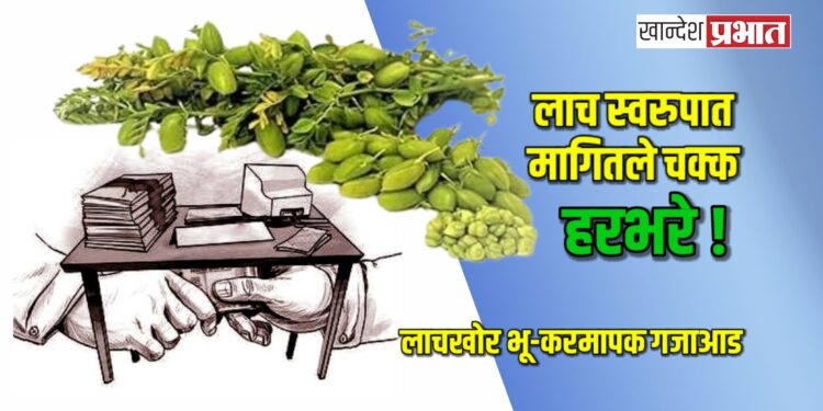 लाच स्वरुपात मागितले चक्क हरभरे ! ; लाचखोर भू-करमापक गजाआड