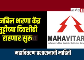 वीजबिल भरणा केंद्र सुट्टीच्या दिवशीही राहणार सुरु