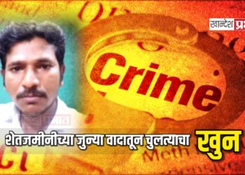 शेतजमीनीच्या जुन्या वादातून चुलत्याचा खुन ; मुक्ताईनगर तालुक्यातील घटना