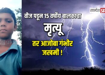 वीज पडून १५ वर्षीय बालकाचा मृत्यू ; तर आजोबा गंभीर जखमी !