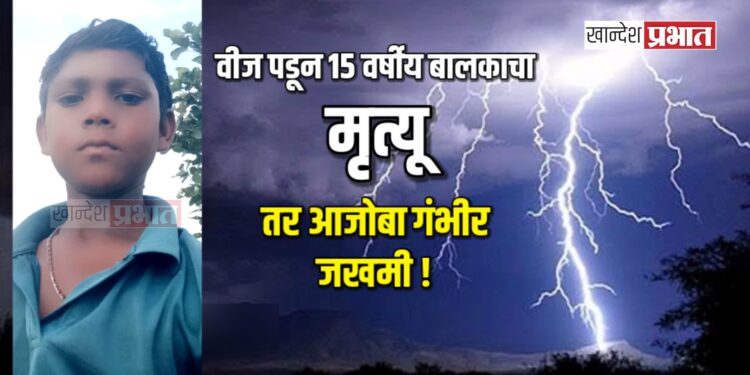 वीज पडून १५ वर्षीय बालकाचा मृत्यू ; तर आजोबा गंभीर जखमी !