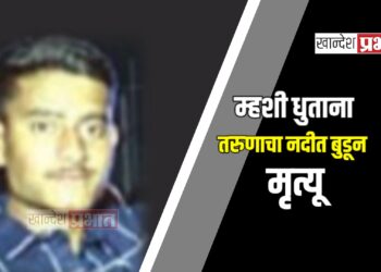 म्हशी धुताना तरुणाचा नदीत बुडून मृत्यू ; पाचोरा तालुक्यातील घटना