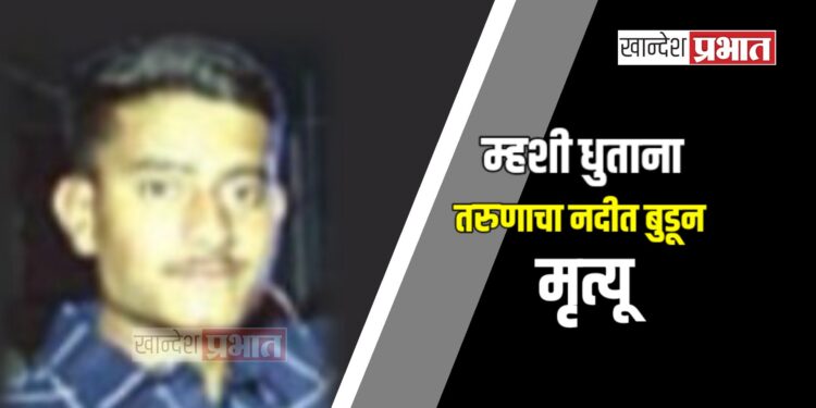 म्हशी धुताना तरुणाचा नदीत बुडून मृत्यू ; पाचोरा तालुक्यातील घटना