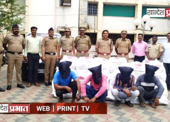 गोडावून फोडून साडेआठ लाखांचा पापड मसाला चोरणाऱ्यांना अटक