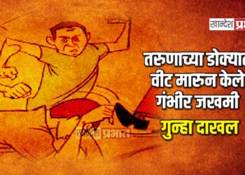 तरुणाच्या डोक्यात वीट मारुन केले गंभीर जखमी ; गुन्हा दाखल