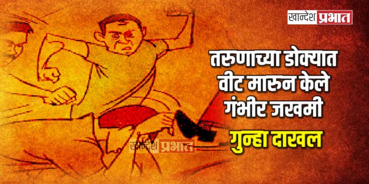 तरुणाच्या डोक्यात वीट मारुन केले गंभीर जखमी ; गुन्हा दाखल