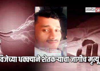 विजेच्या धक्क्याने शेतकऱ्याचा जागीच मृत्यू !