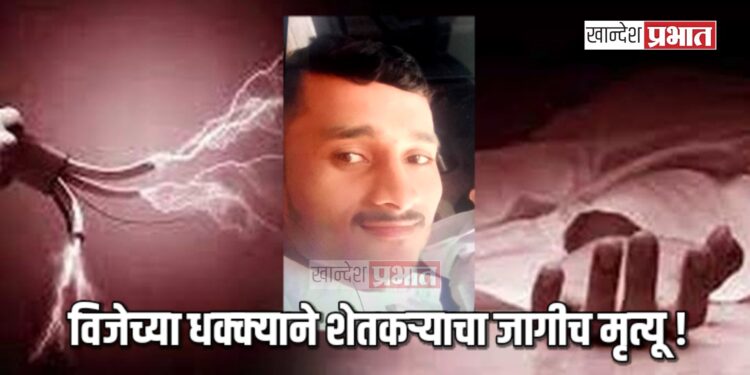 विजेच्या धक्क्याने शेतकऱ्याचा जागीच मृत्यू !