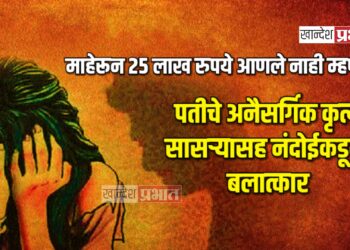 माहेरून २५ लाख रुपये आणले नाही म्हणून पतीचे अनैसर्गिक कृत्य ; सासर्‍यासह नंदोईकडून बलात्कार
