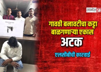 गावठी बनावटीचा कट्टा बाळगणाऱ्या एकास अटक ; एलसीबीची कारवाई