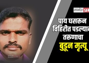 पाय घसरून विहिरीत पडल्याने तरूणाचा बुडून मृत्यू ; पाचोरा तालुक्यात घटना