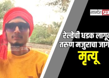 रेल्वेची धडक लागून तरुण मजुराचा जागीच मृत्यू