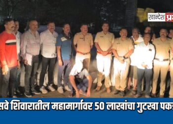 म्हसवे शिवारातील महामार्गावर ५० लाखांचा गुटखा पकडला
