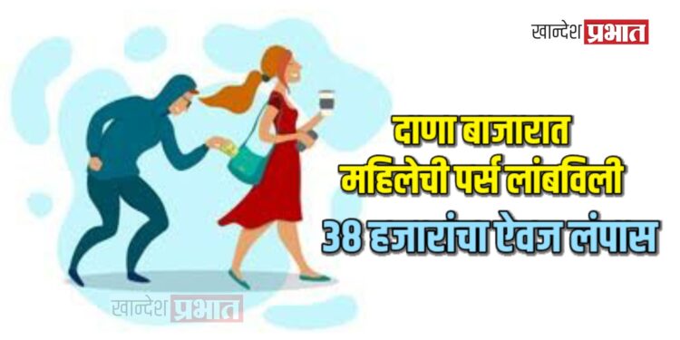 दाणा बाजारात महिलेची पर्स लांबविली, ३८ हजारांचा ऐवज लंपास