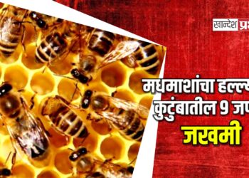 मधमाशांचा हल्ल्यात कुटुंबातील ९ जण जखमी ; यावल तालुक्यातील घटना