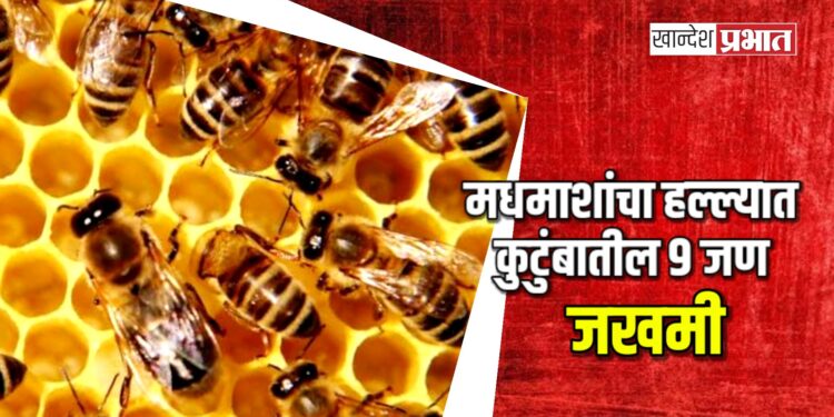 मधमाशांचा हल्ल्यात कुटुंबातील ९ जण जखमी ; यावल तालुक्यातील घटना