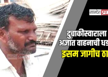 दुचाकीस्वाराला अज्ञात वाहनाची धडक ; इसम जागीच ठार