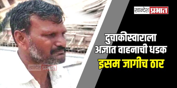 दुचाकीस्वाराला अज्ञात वाहनाची धडक ; इसम जागीच ठार