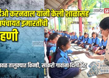 सीईओ करनवाल यांनी केली शाळांसह ग्रामपंचायत इमारतींची पाहणी