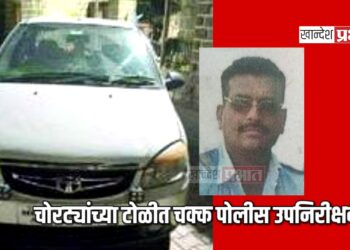 चोरट्यांच्या टोळीत चक्क पोलीस उपनिरीक्षक