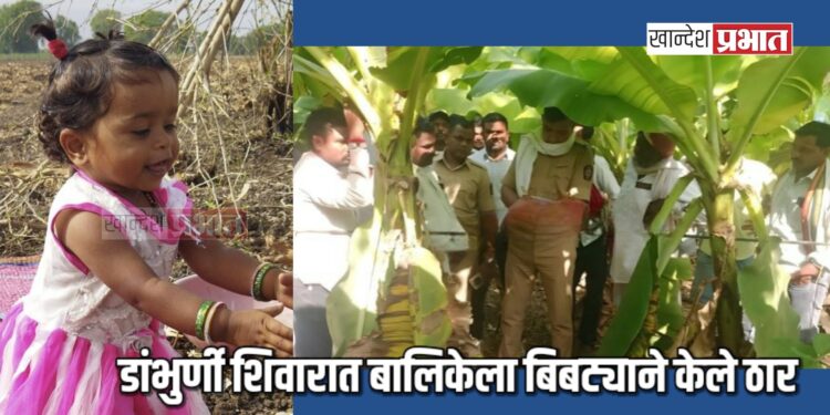 बालिकेला बिबट्याने केले ठार ; शेतकऱ्यांमध्ये भीतीसह संतापाचे वातावरण