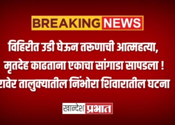 विहिरीत उडी घेऊन तरूणाची आत्महत्या, मृतदेह काढताना एकाचा सांगाडा सापडला !