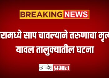 घरामध्ये साप चावल्याने तरुणाचा मृत्यू ; यावल तालुक्यातील घटना