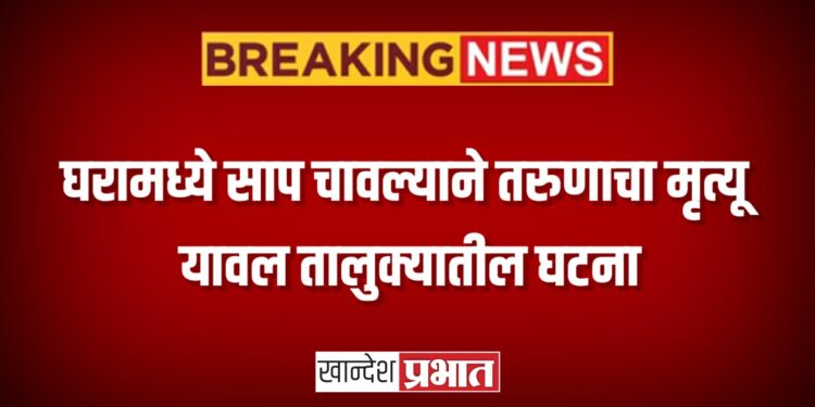 घरामध्ये साप चावल्याने तरुणाचा मृत्यू ; यावल तालुक्यातील घटना
