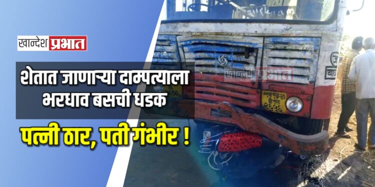 शेतात जाणाऱ्या दाम्पत्याला भरधाव बसची धडक ; पत्नी ठार, पती गंभीर !