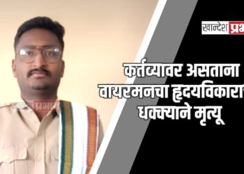 कर्तव्यावर असताना वायरमनचा हृदयविकाराच्या धक्क्याने मृत्यू ; जळगावातील घटना