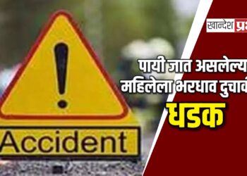 पायी जात असलेल्या महिलेला भरधाव दुचाकीची धडक ; जळगाव तालुक्यातील घटना