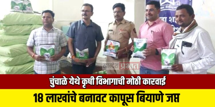 चुंचाळे येथे कृषी विभागाची मोठी कारवाई ; १८ लाखांचे बनावट कापूस बियाणे जप्त