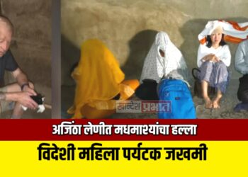 अजिंठा लेणीत मधमाश्यांचा हल्ला ; विदेशी महिला पर्यटक जखमी