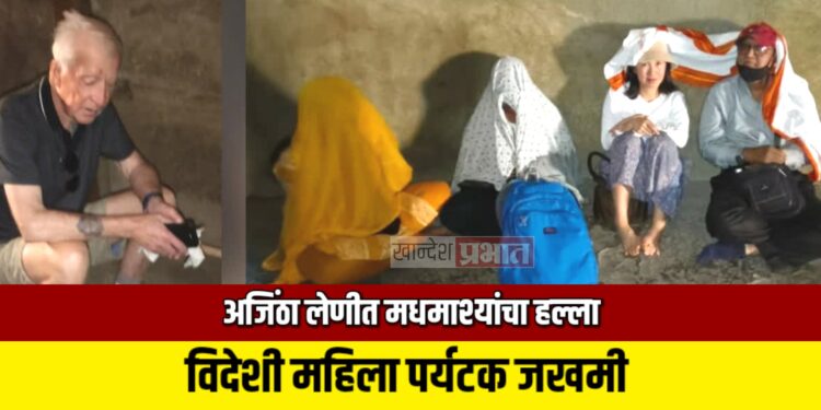 अजिंठा लेणीत मधमाश्यांचा हल्ला ; विदेशी महिला पर्यटक जखमी