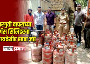 घरगुती वापराच्या गॅस सिलिंडरचा बेकायदेशीर साठा जप्त