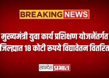 मुख्यमंत्री युवा कार्य प्रशिक्षण योजनेंतर्गत जिल्ह्यात १८ कोटी रूपये विद्यावेतन वितरित