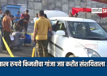 २५ लाख रुपये किमतीचा गांजा जप्त करीत मालेगावातील संशयिताला अटक